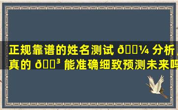 正规靠谱的姓名测试 🐼 分析，真的 🐳 能准确细致预测未来吗